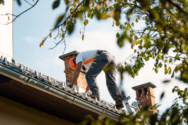 Quick and Trustworthy Emergency Roof Repair Services in El Cenizo, TX