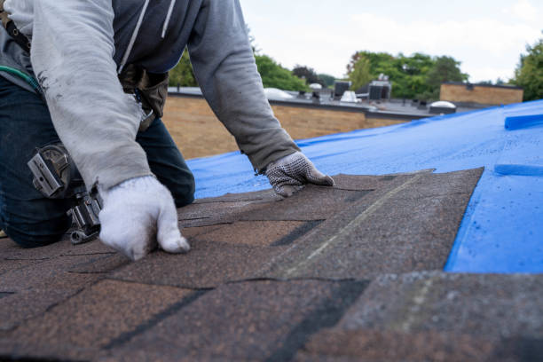 Best New Roof Installation  in El Cenizo, TX