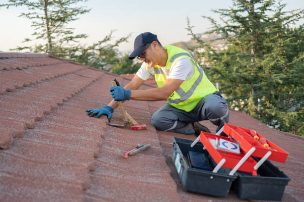 Best Roof Waterproofing Services  in El Cenizo, TX