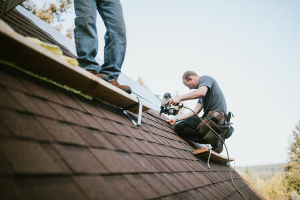 Best New Roof Installation  in El Cenizo, TX