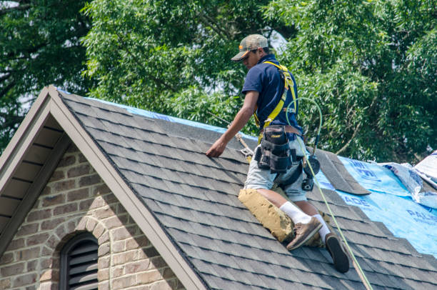 Best Residential Roof Replacement  in El Cenizo, TX